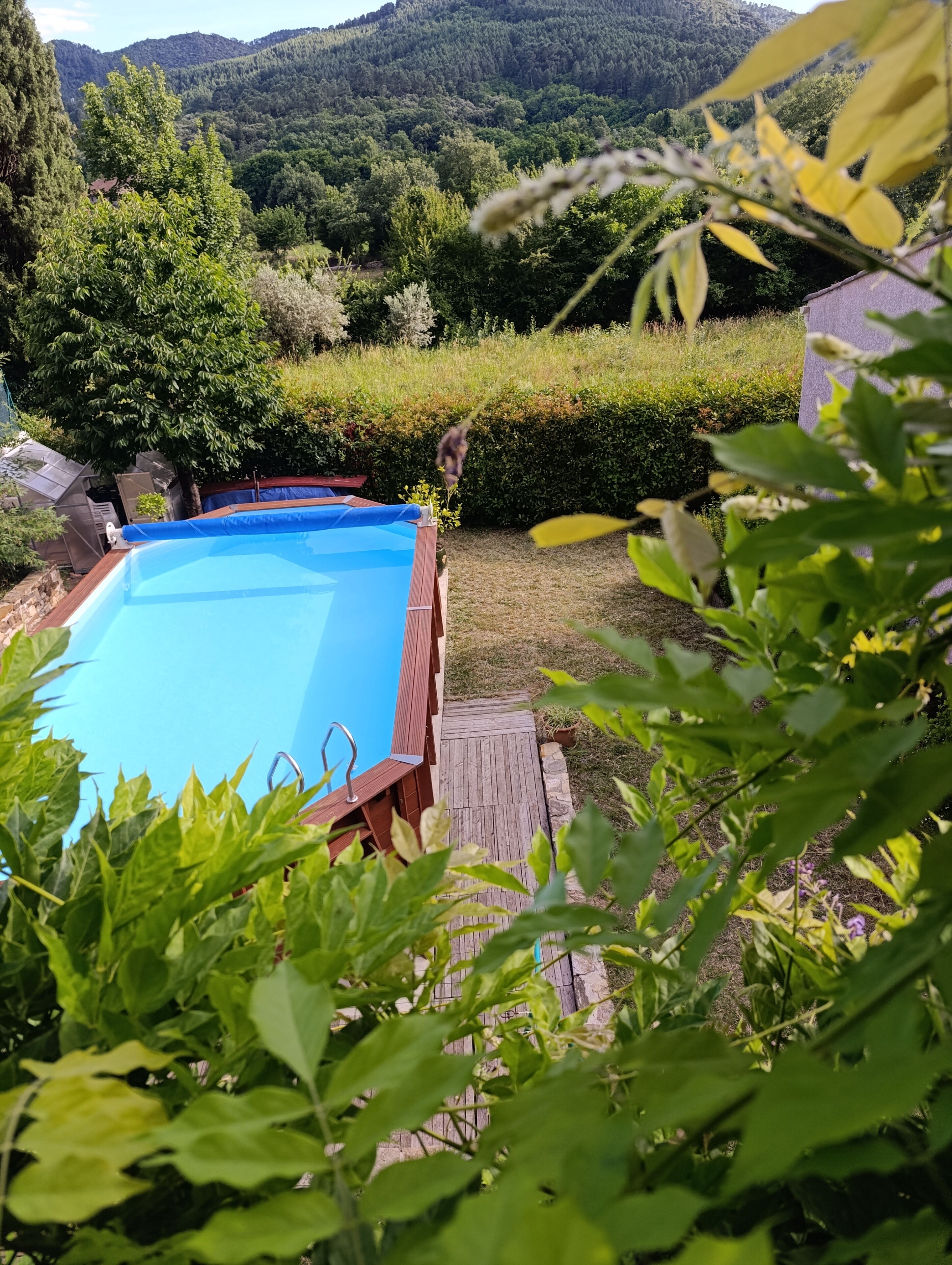 Una piscina con cubierta de madera, rodeada de abundante vegetación y vistas a una ladera boscosa.