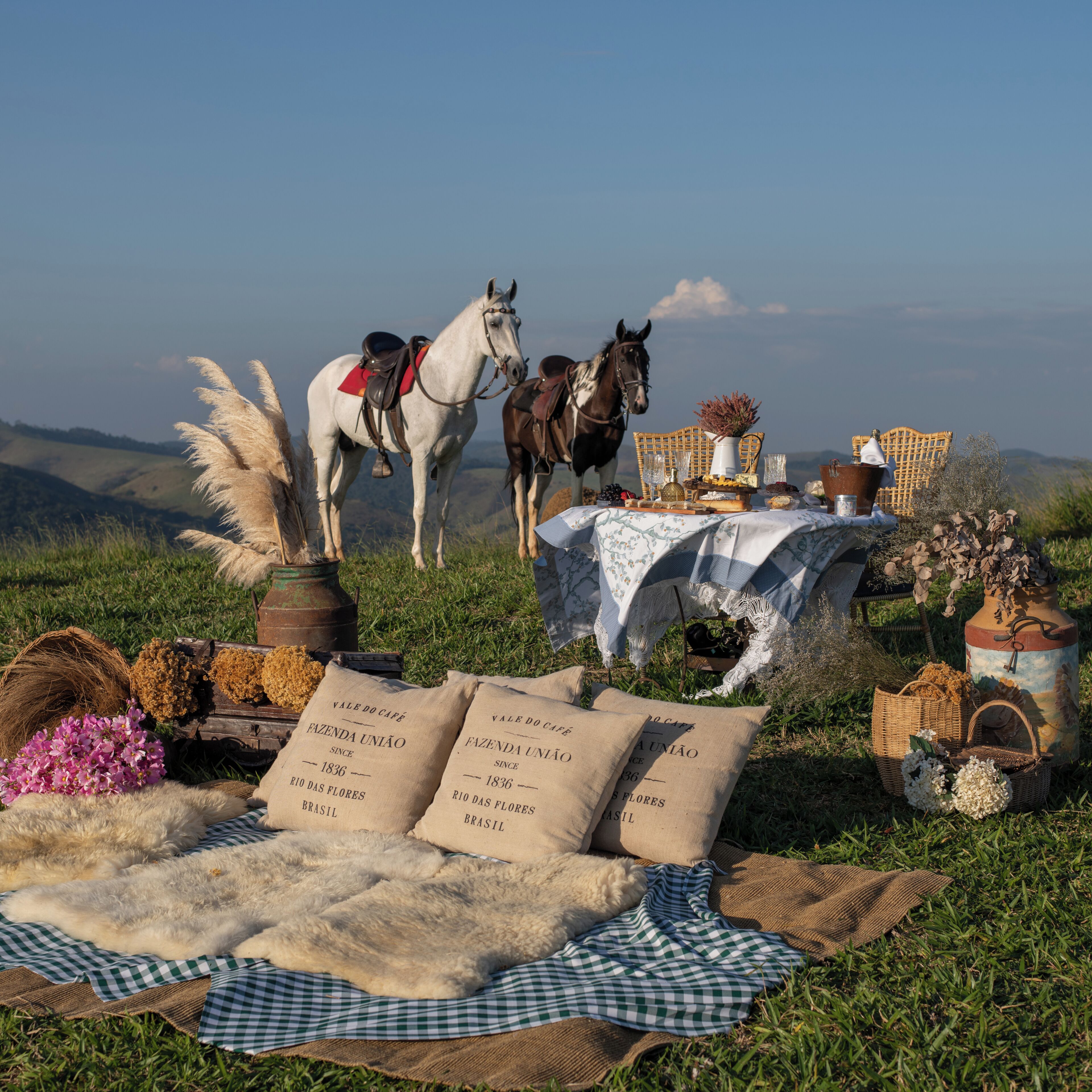 Passeios a cavalo