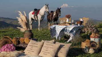 Passeios a cavalo