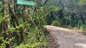 Segnaletica con la scritta 'BIENVENUE' in una zona boschiva con un sentiero sterrato.