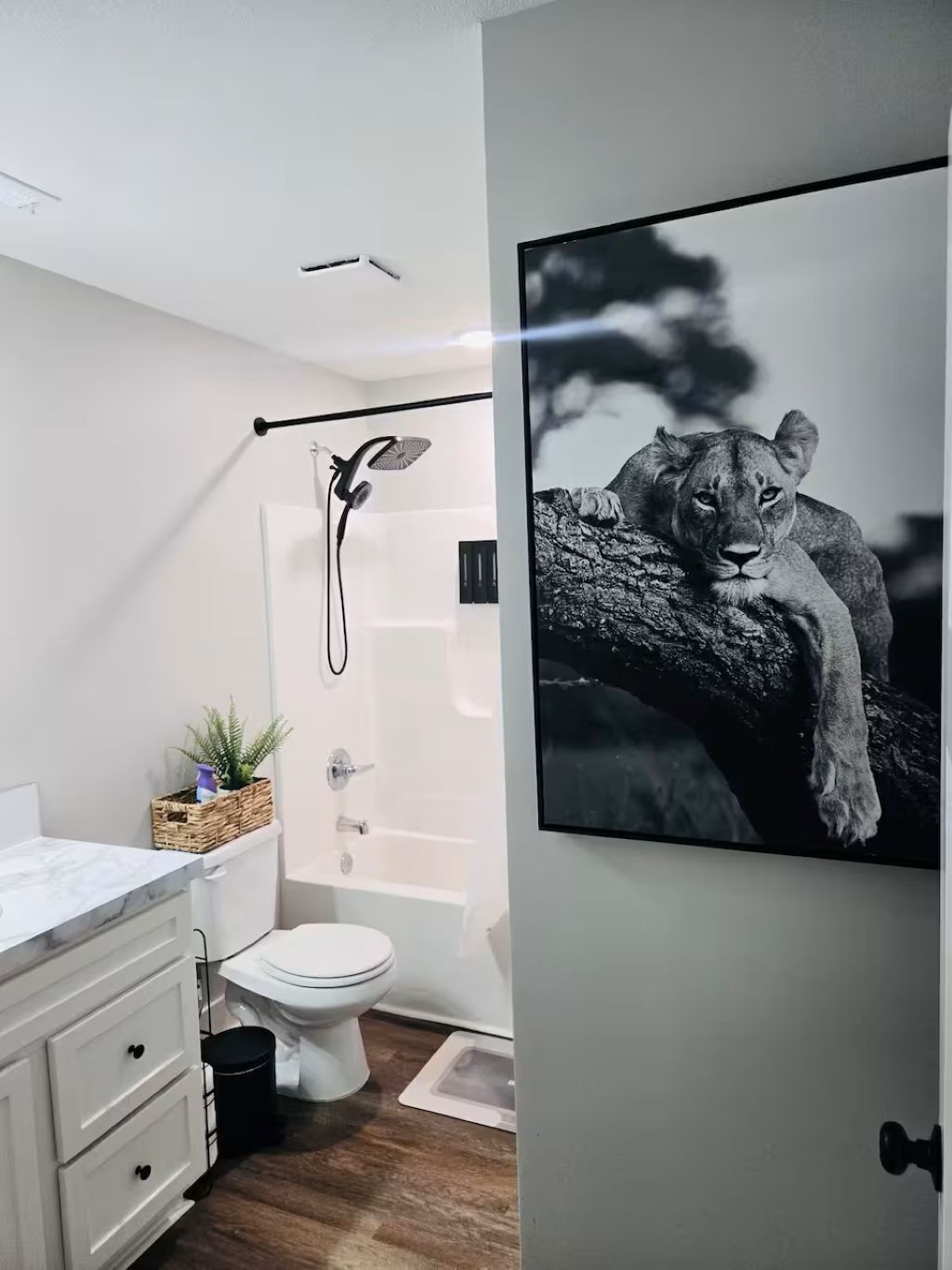 Hair dryer, towels, soap, toilet paper
