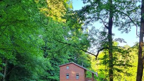 A cabin with a porch, surrounded by a grassy area and trees. - Mountain cabin on a creek and farm, 7 miles from Smoky Mountains National Park (Townsend)