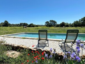 A rectangular swimming pool with two lounge chairs facing it, surrounded by a gravel area with flowers and a grassy field in the background. - Guest house immersed in nature with horses and donkeys (Jouques)