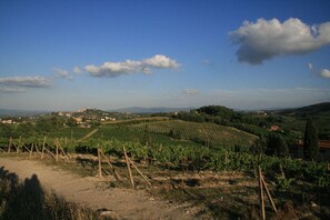 Varie