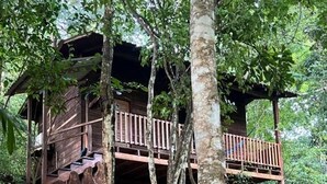 A wooden cabin with a staircase leading to a deck, surrounded by dense forest.