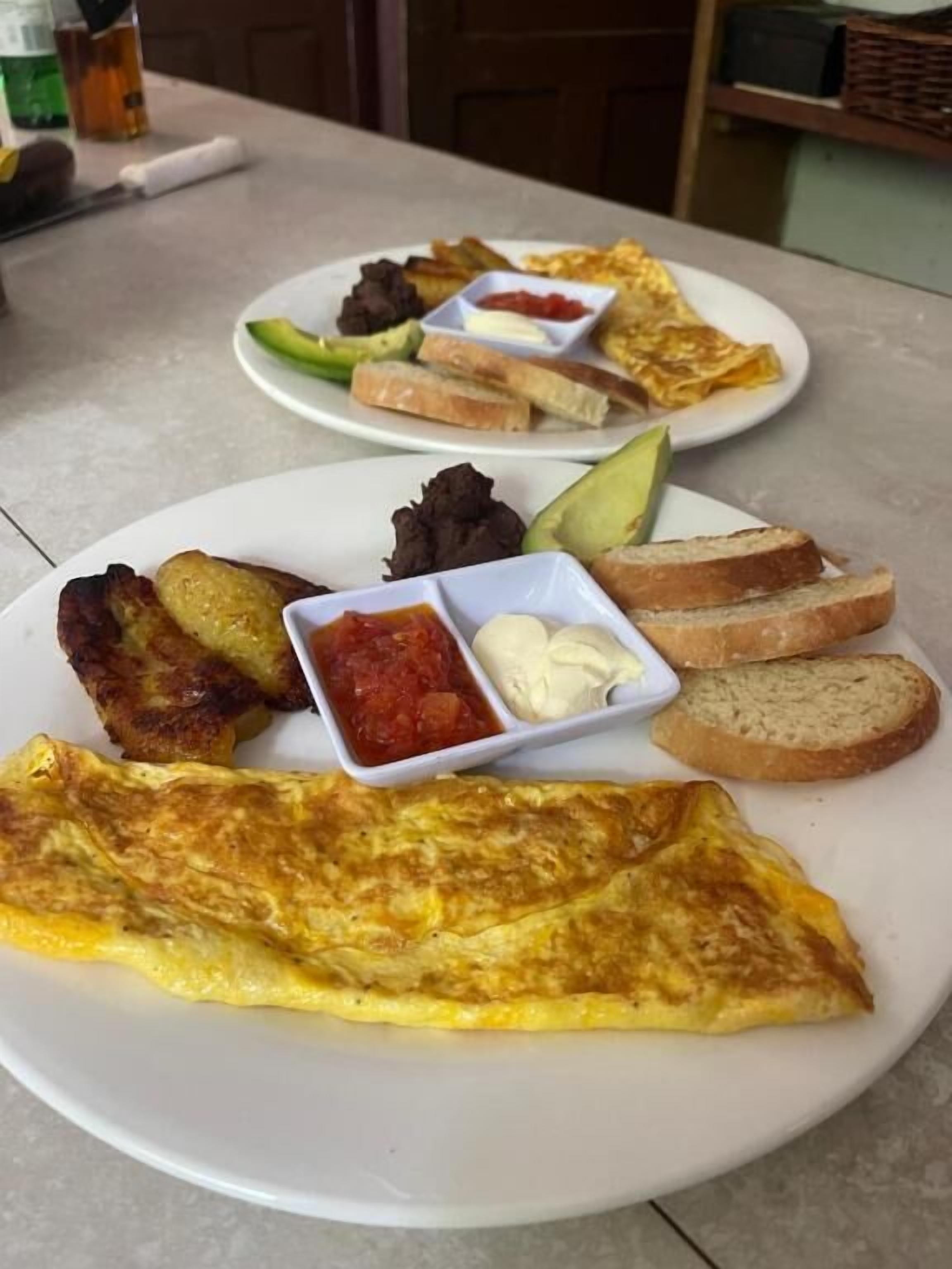 Two plates of food with toast, avocado, and sauces.