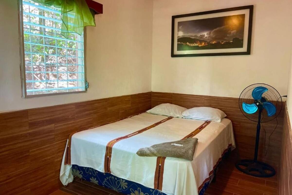 A single bed with a white and blue bedspread, a standing fan, a window with a view of greenery, and a framed picture on the wall.