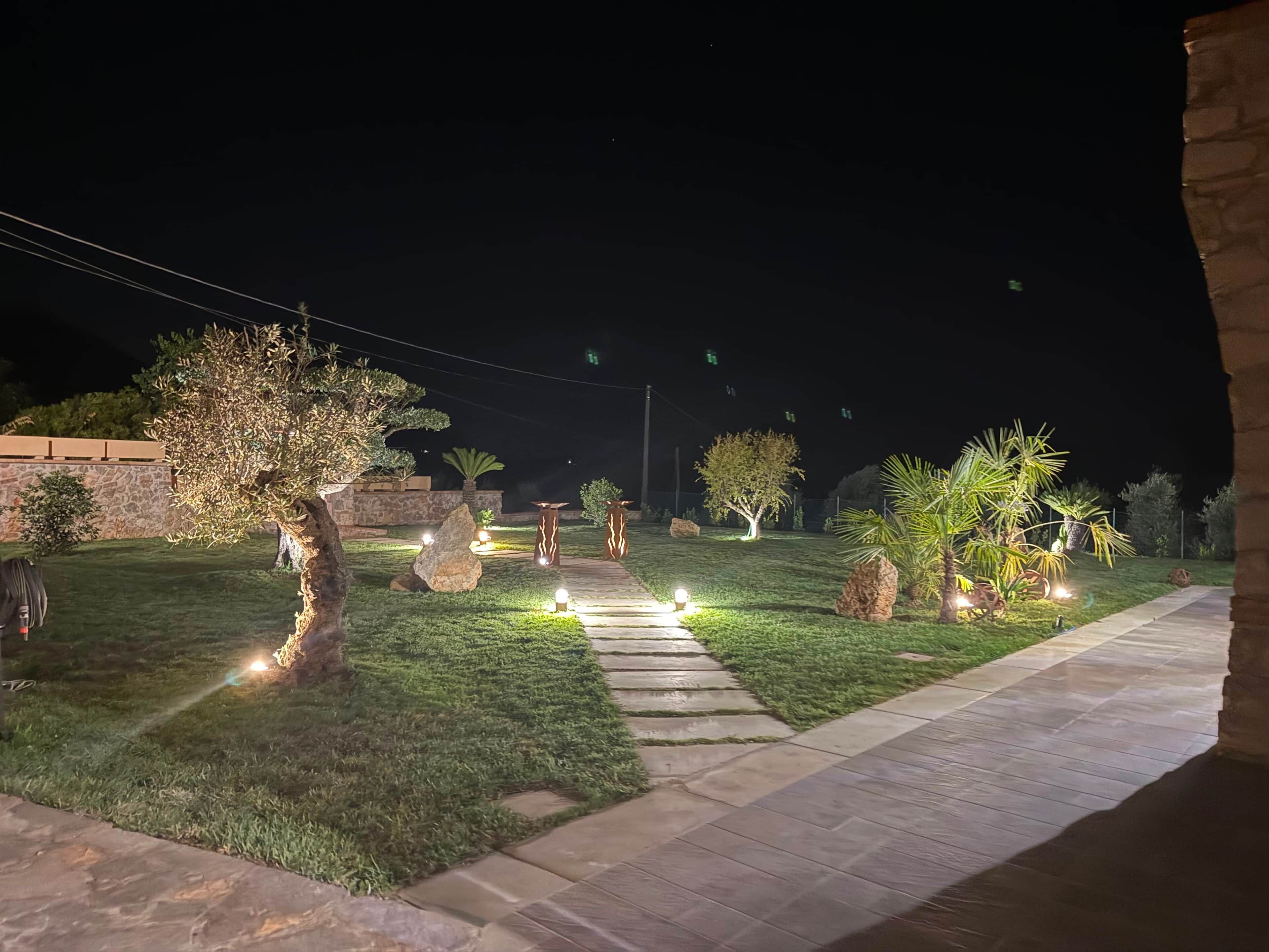 A nighttime outdoor area with a stone pathway, illuminated plants, and a small tree.