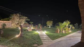 A nighttime outdoor area with a stone pathway, illuminated plants, and a small tree.
