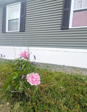Exterior detail - Entire House & Windmill Coast Retreat (Glace Bay)