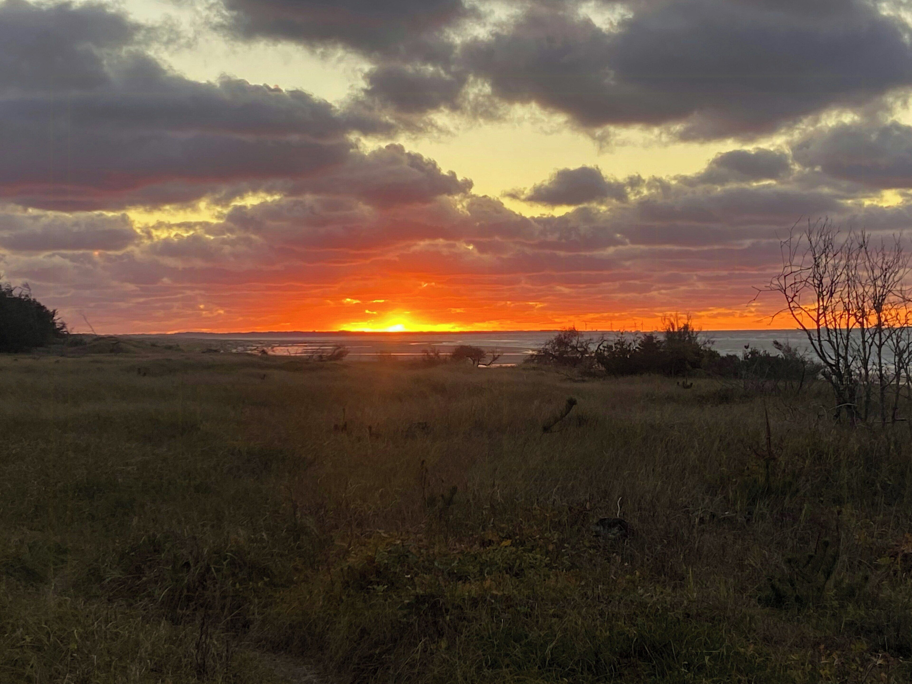 A sunset over a grassy landscape with a clear sky.