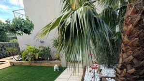 Een aangelegde tuin met een verhard pad, een palmboom en diverse planten.