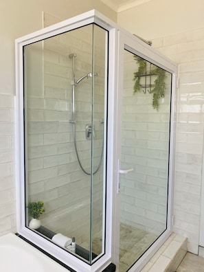 Une douche fermée par des parois de verre, avec une porte blanche, une serviette et une petite plante posée sur le sol.