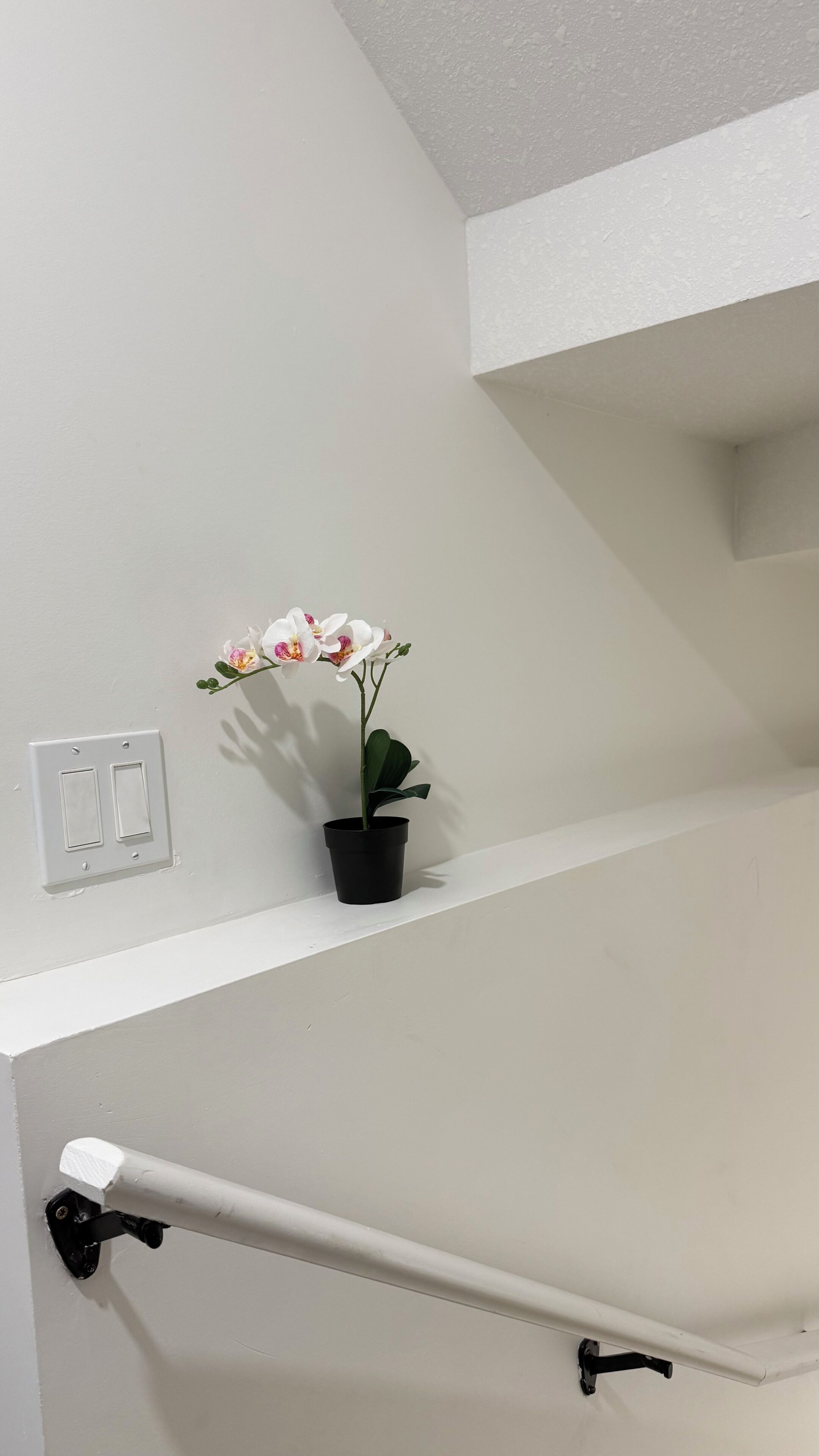 Paredes brancas com uma orquídea em vaso preto, um quadro de interruptores branco e um corrimão branco.