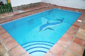 Ein rechteckiger Swimmingpool mit blauem Mosaikrand und einem Delphin-Design am Boden.