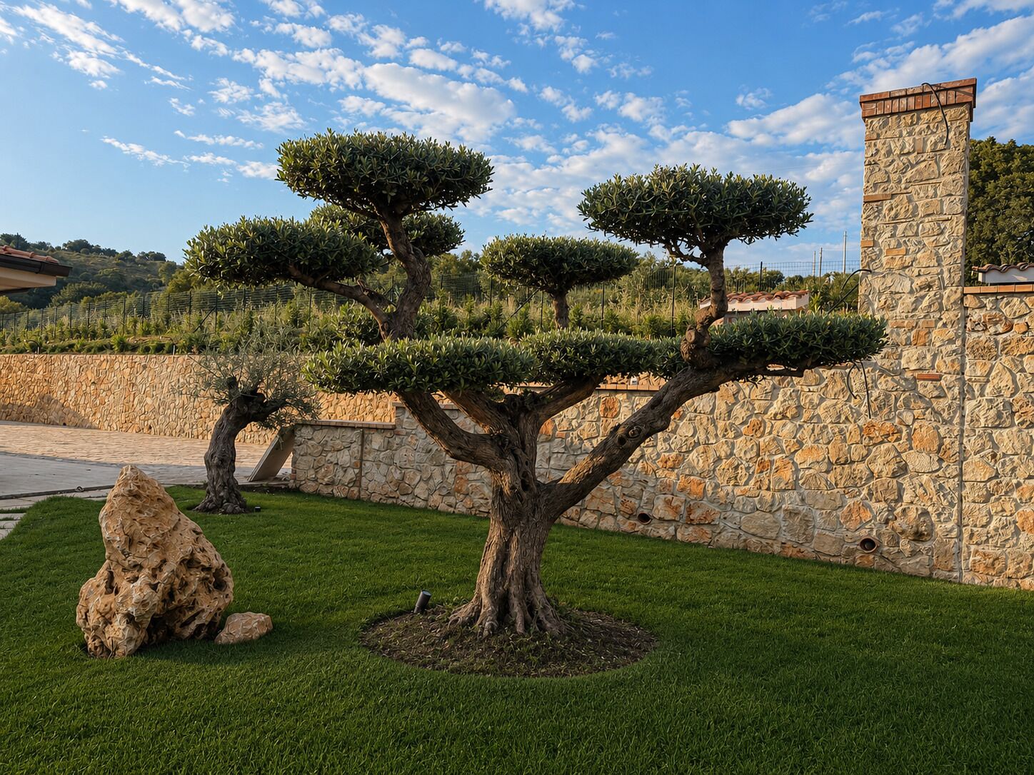Un giardino curato con un caratteristico bonsai, un muro in pietra e cielo sereno.