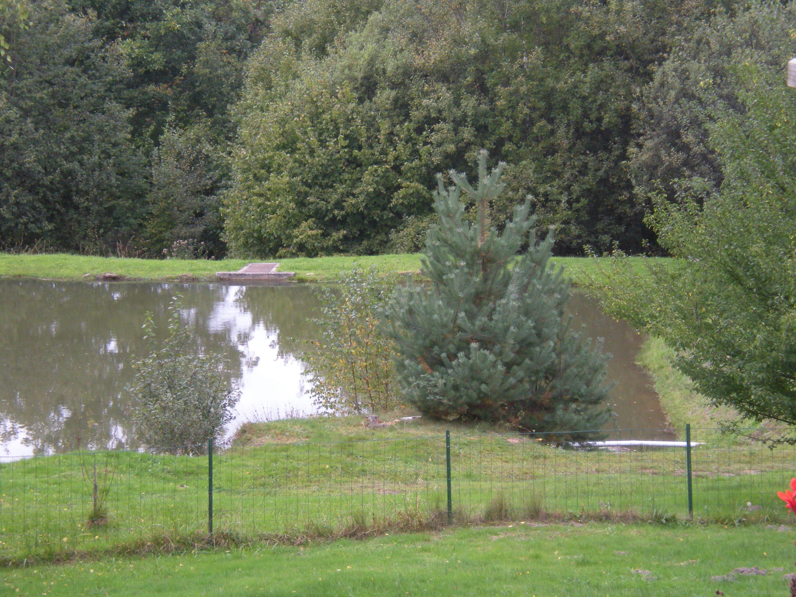 Un étang avec une petite île, entouré d’une zone herbeuse et d’une forêt dense.