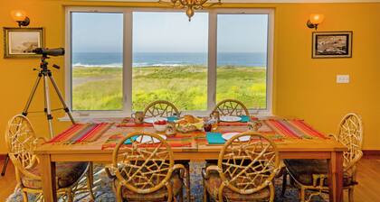 Pelican Point