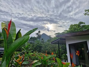 Ein modernes Gebäude mit Glasfassade, umgeben von üppiger tropischer Vegetation und einem Berg im Hintergrund.