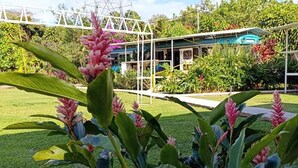 A garden with tropical plants and a white structure in the background. - The Dreamcatcher House (San Pedro)