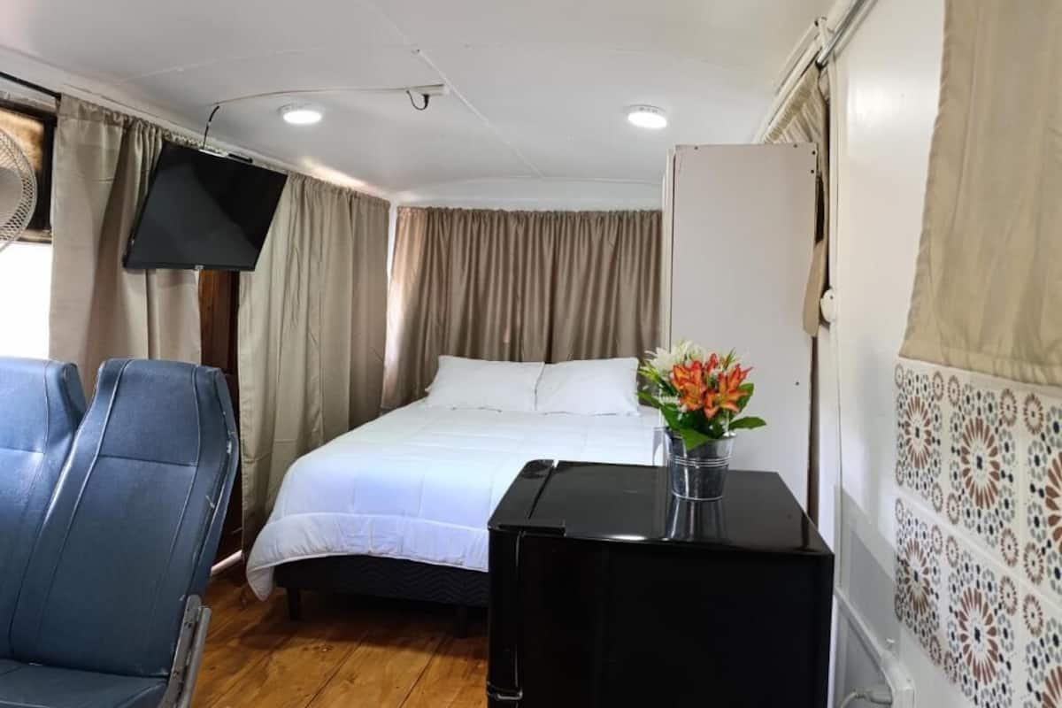 A room with a bed, a chair, a desk, a television, and a decorative wall.