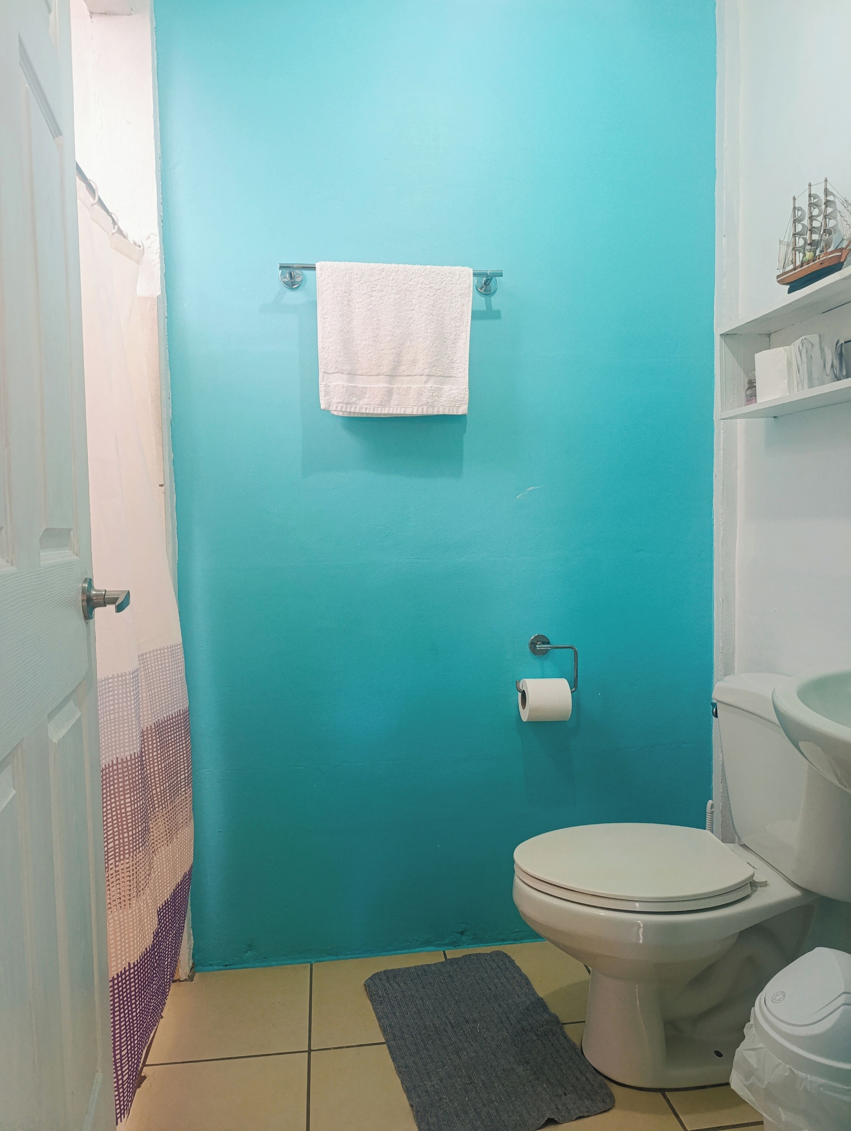 A bathroom with a turquoise wall, a white toilet, a roll of toilet paper, and a white towel hanging on a rack.