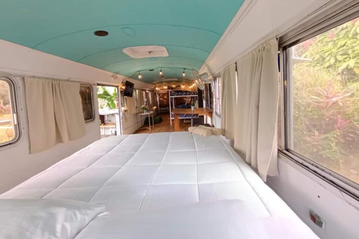 A train interior with a bed, a table, and a window with a view of greenery.