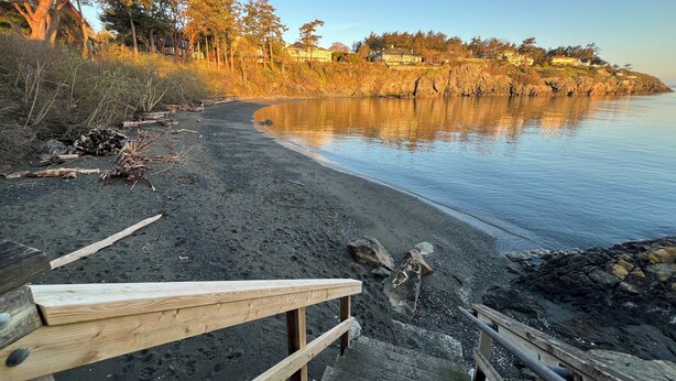 A wooden staircase leading down to a beach with a wooden railing, surrounded by trees and a calm body of water.