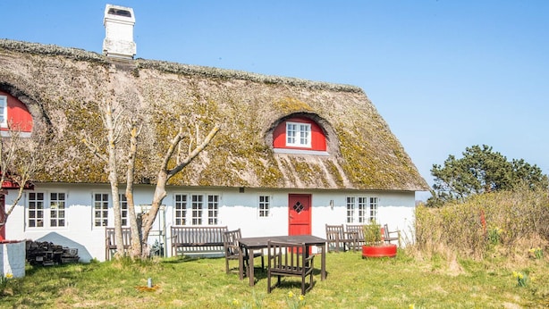 Een traditioneel huis met rieten dak, een rode deur en een kleine tuin met narcissen.
