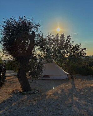 Uma estrutura em forma de tenda em um ambiente natural, com árvores e céu claro.