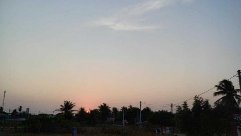 Tramonto su una zona rurale con palme e cielo sereno.