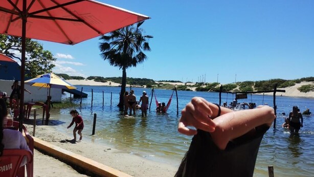 A beach scene with people in the water, a palm tree, and a red umbrella. - Pousada Apart Praia Uruau (Beberibe)
