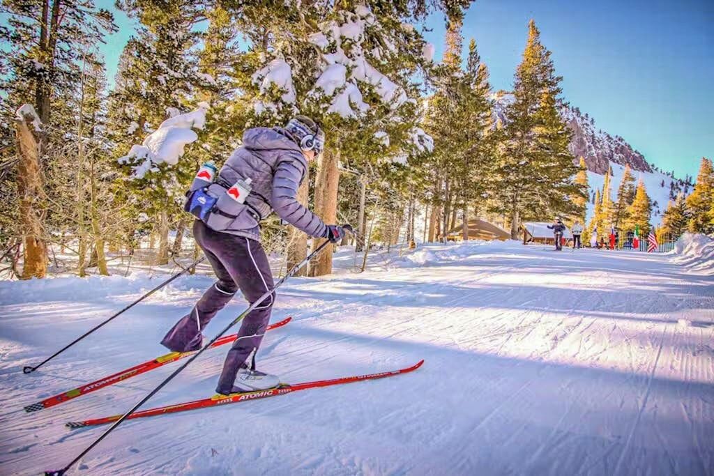 A person skiing on a snow-covered path with trees and a mountain in the background.