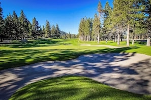 Ein Golfplatz mit gepflegtem Weg, Sandbunkern und Bäumen.