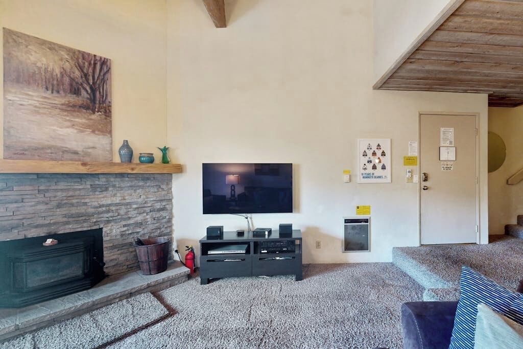TV, fireplace, video library