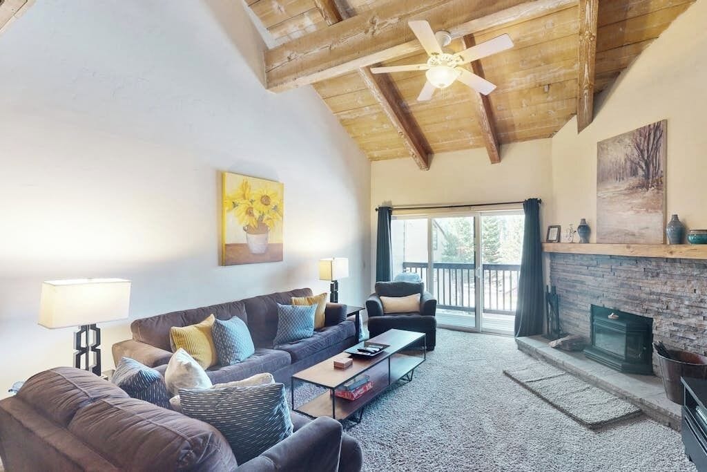 TV, fireplace, video library