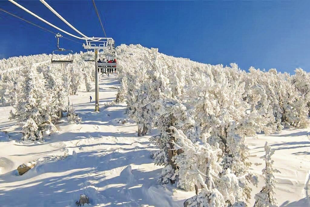 Une piste de ski enneigée, avec un télésiège et des arbres couverts de neige.
