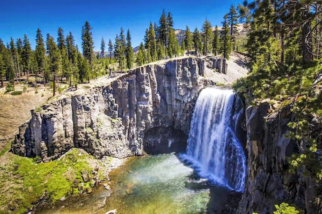 A natural landscape with a waterfall, rocky terrain, and coniferous trees.