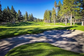 Ein Golfplatz mit gepflegtem Weg, Sandbunkern und hohen Bäumen.