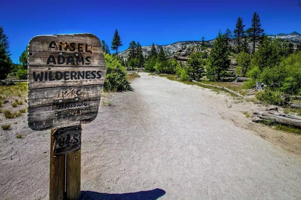 Un cartel de madera con el texto 'Ansel Adams Wilderness', un sendero de tierra y follaje circundante.