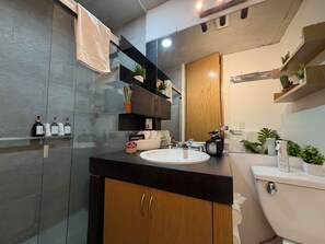 Chuveiro, secador de cabelo, toalhas de banho, sabonete