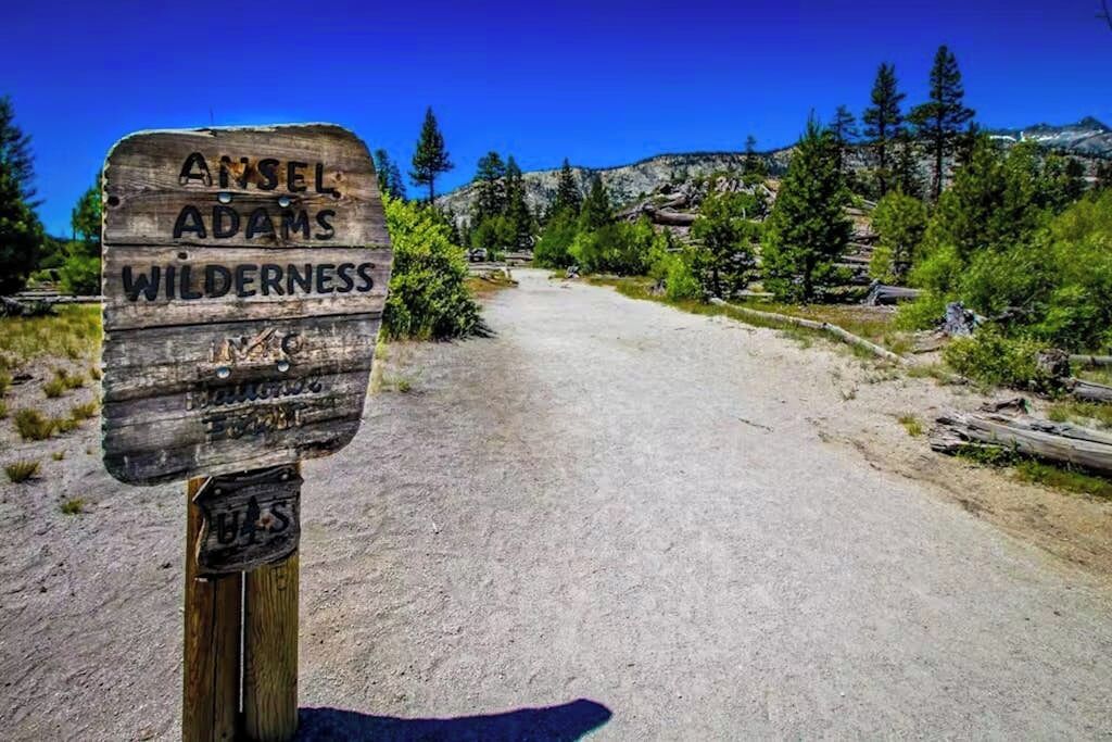A wooden signpost with 'Ansel Adams Wilderness' written on it, set against a backdrop of trees and a clear sky.