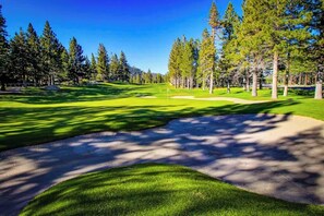 Ein Golfplatz mit gepflegtem Weg, Sandbunkern und hohen Bäumen.