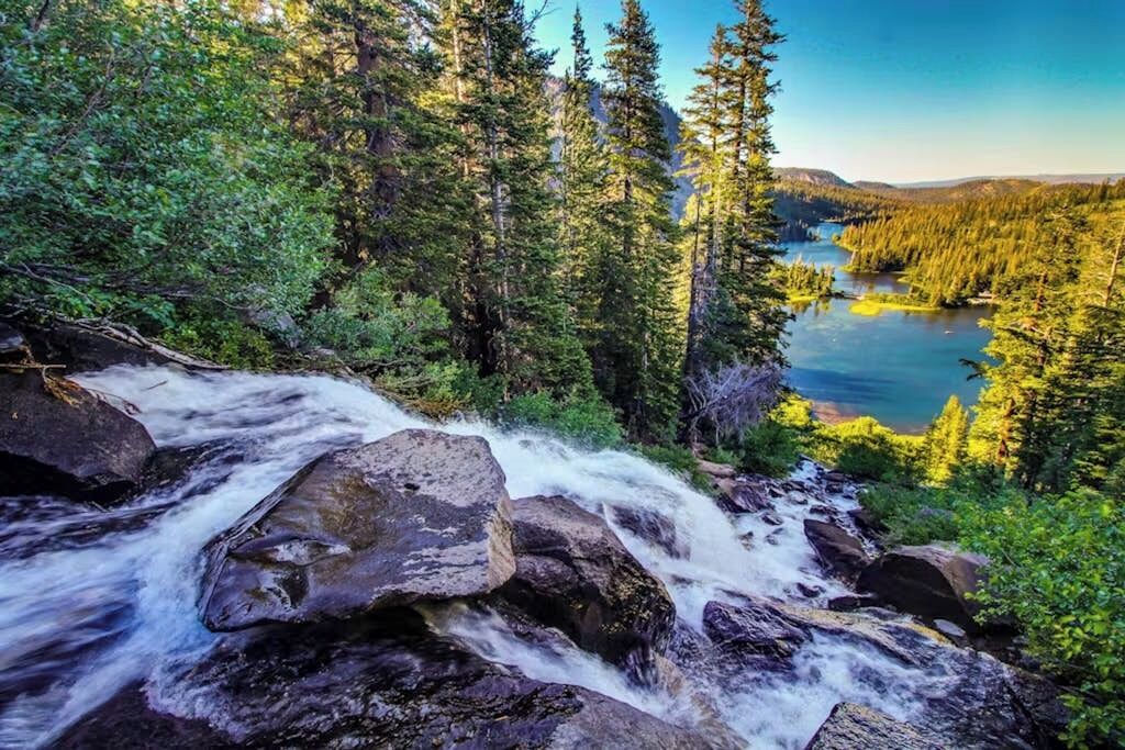 A natural landscape with a flowing river, dense forest, and a distant lake.