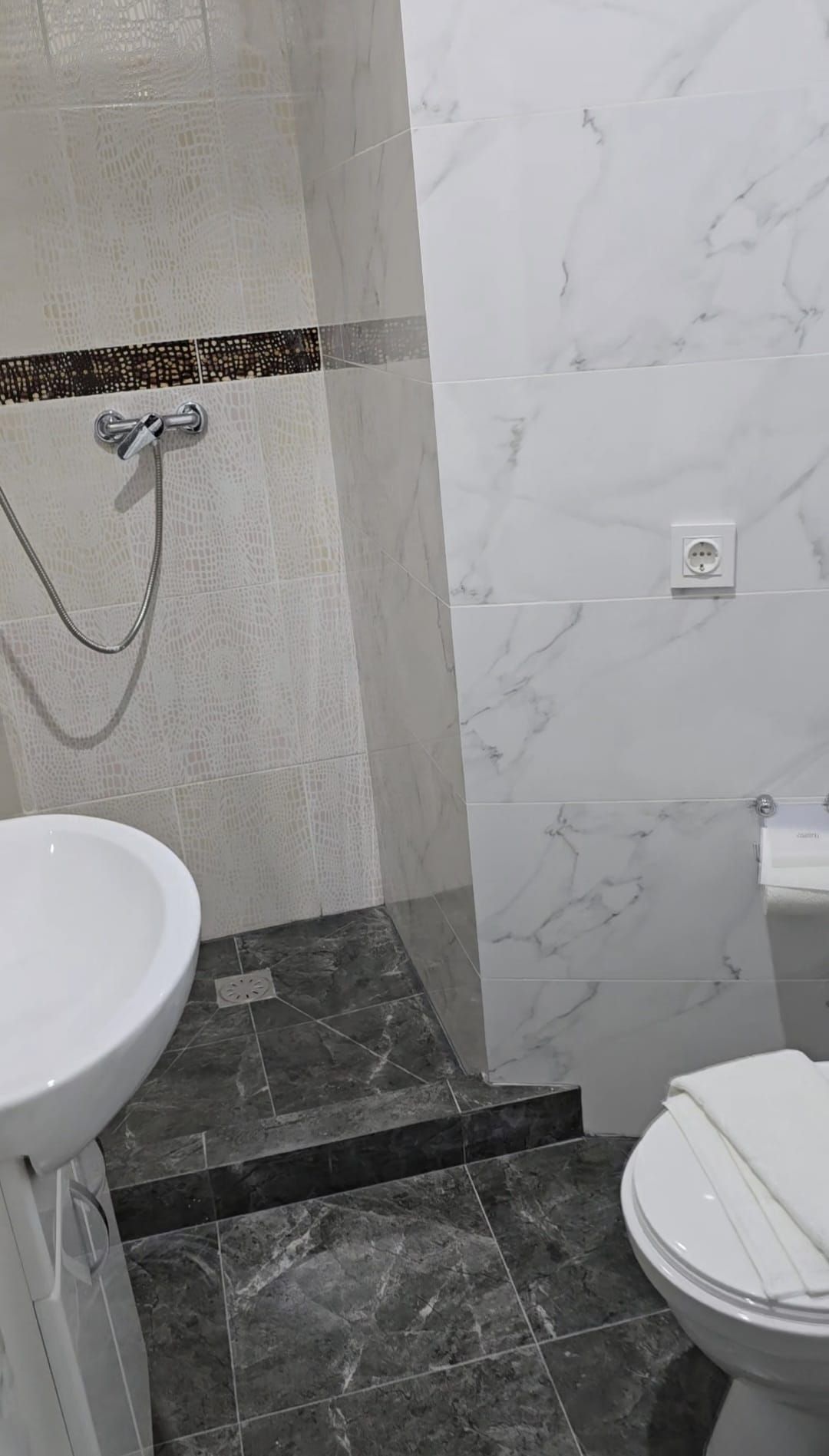 A bathroom with a white sink, a toilet, and a shower with a handheld showerhead.