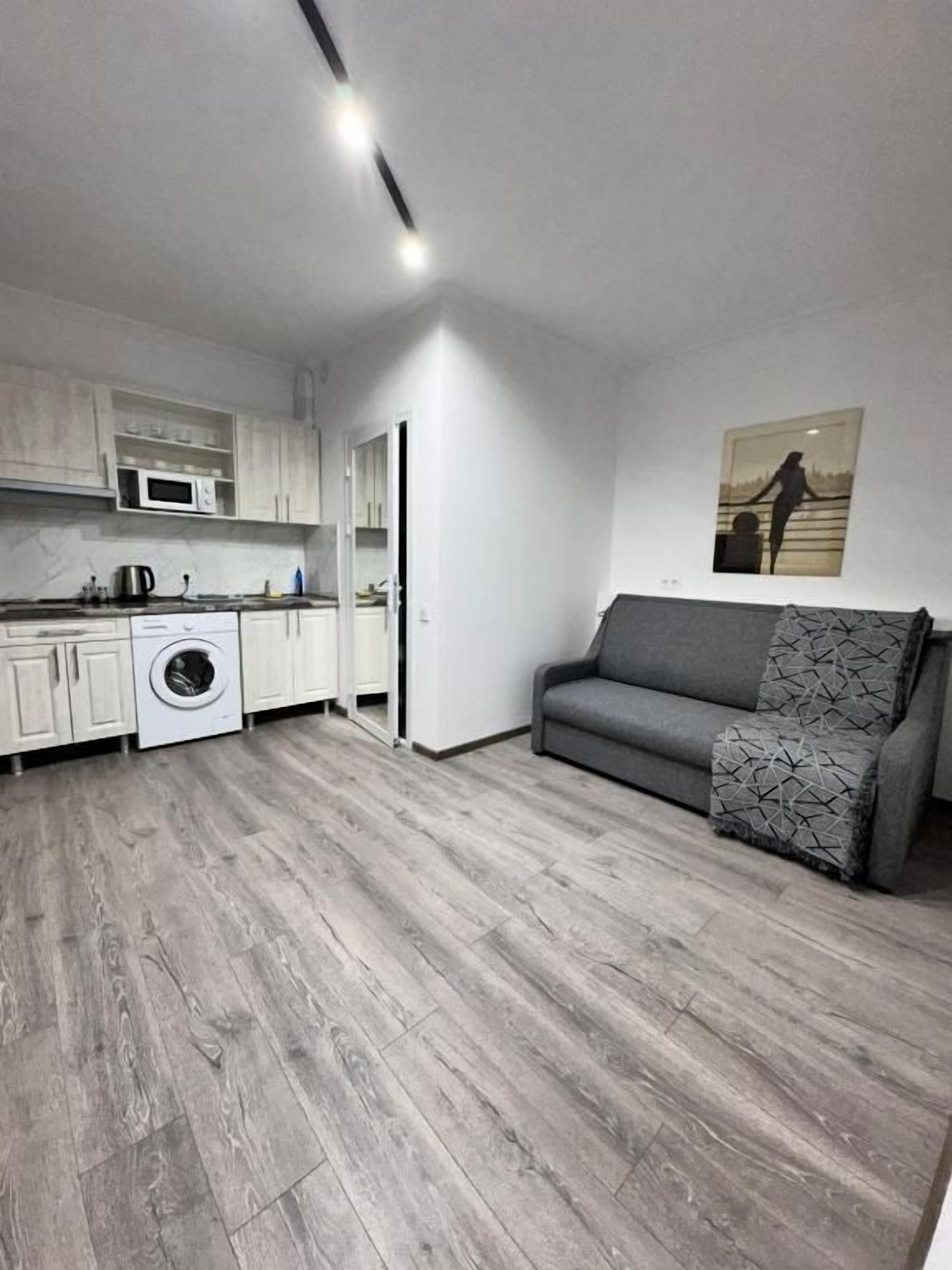 Ein kompakter Wohnbereich mit Küchenzeile, einem grauen Sofa und einem Bild an der Wand.
