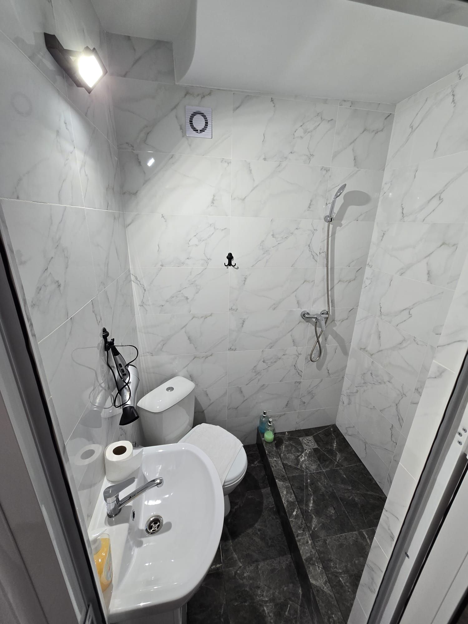 Une salle de bain avec des toilettes, un lavabo et une douche.