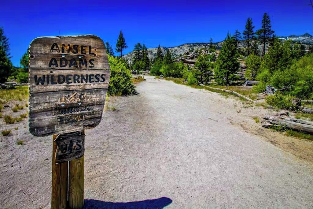 Ein hölzernes Wegweiser mit der Aufschrift 'Ansel Adams Wilderness', der auf ein Naturschutzgebiet hinweist.