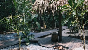 Un sendero de grava en un jardín, con un banco de madera y plantas tropicales.