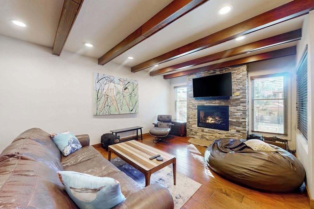 TV, fireplace, books